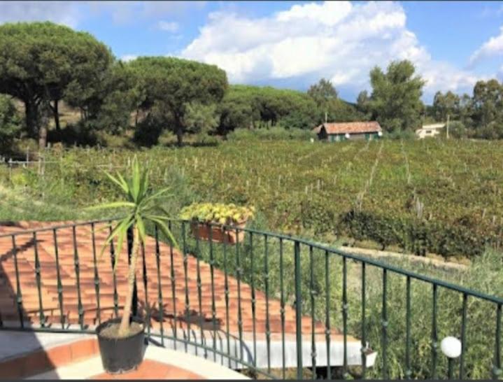 Beb Casale Pompei Rendine Villa Boscotrecase Kültér fotó