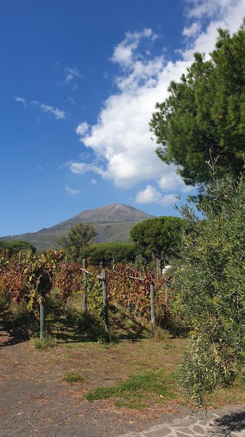 Beb Casale Pompei Rendine Villa Boscotrecase Kültér fotó