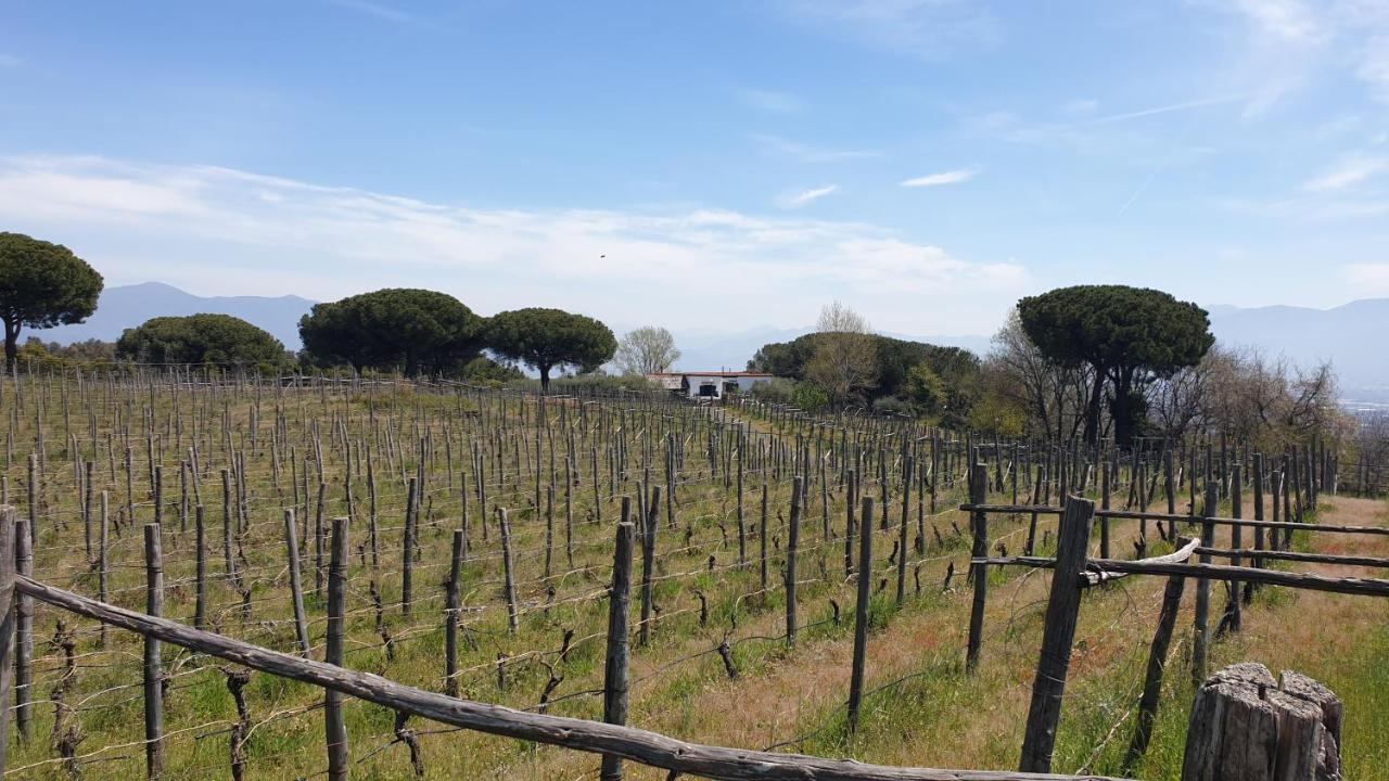 Beb Casale Pompei Rendine Villa Boscotrecase Kültér fotó