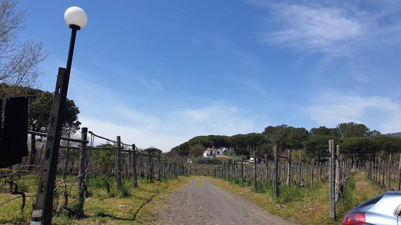 Beb Casale Pompei Rendine Villa Boscotrecase Kültér fotó