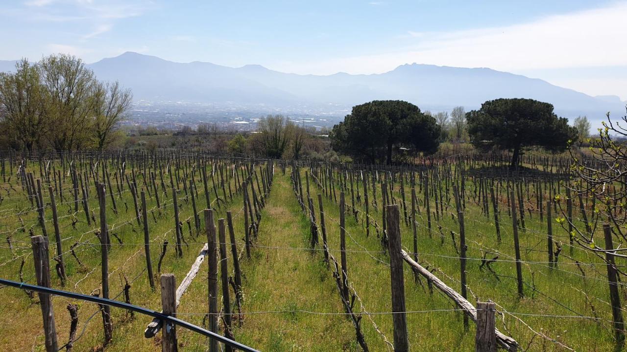 Beb Casale Pompei Rendine Villa Boscotrecase Kültér fotó