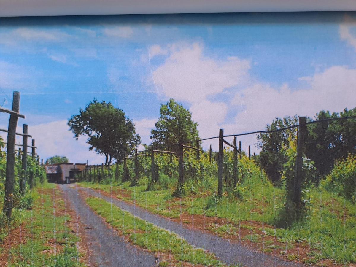Beb Casale Pompei Rendine Villa Boscotrecase Kültér fotó